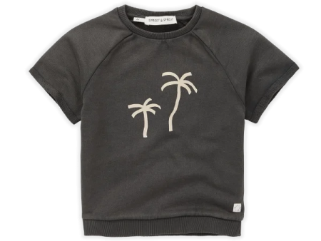 SPROET AND SPROUT PALMTREES LOOSE RAGLAN SWEATSHIRT Online now