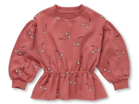 SPROET AND SPROUT MAUVE CHERRY FLOWER PEPLUM SWEATSHIRT Hot on Sale