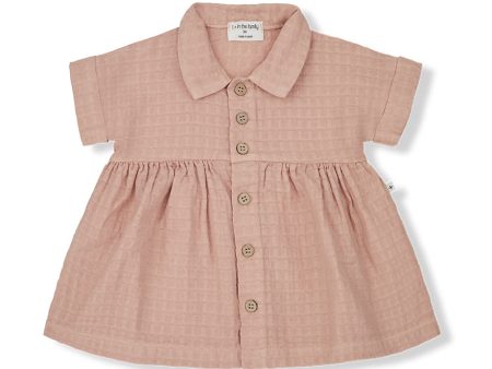 1 + IN FAMILY MOMO ROSE DRESS Sale