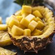 Sugarloaf Pineapple Plant For Discount