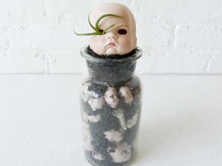 Cranky No Play Baby Vintage Bisque Doll Air Plant Garden For Sale