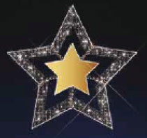 2D LED 4FT STAR WITH GOLD STAR ACCENT Sale