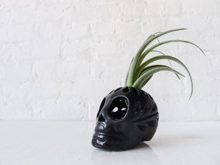 10% SALE - Mayan Tulum Ruins Calavera Air Plant Garden Sale