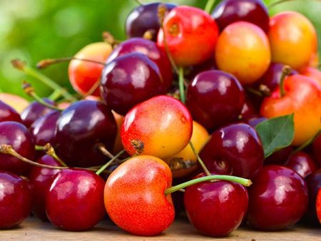 2-in-1 Cherry Surprise Tree Online now